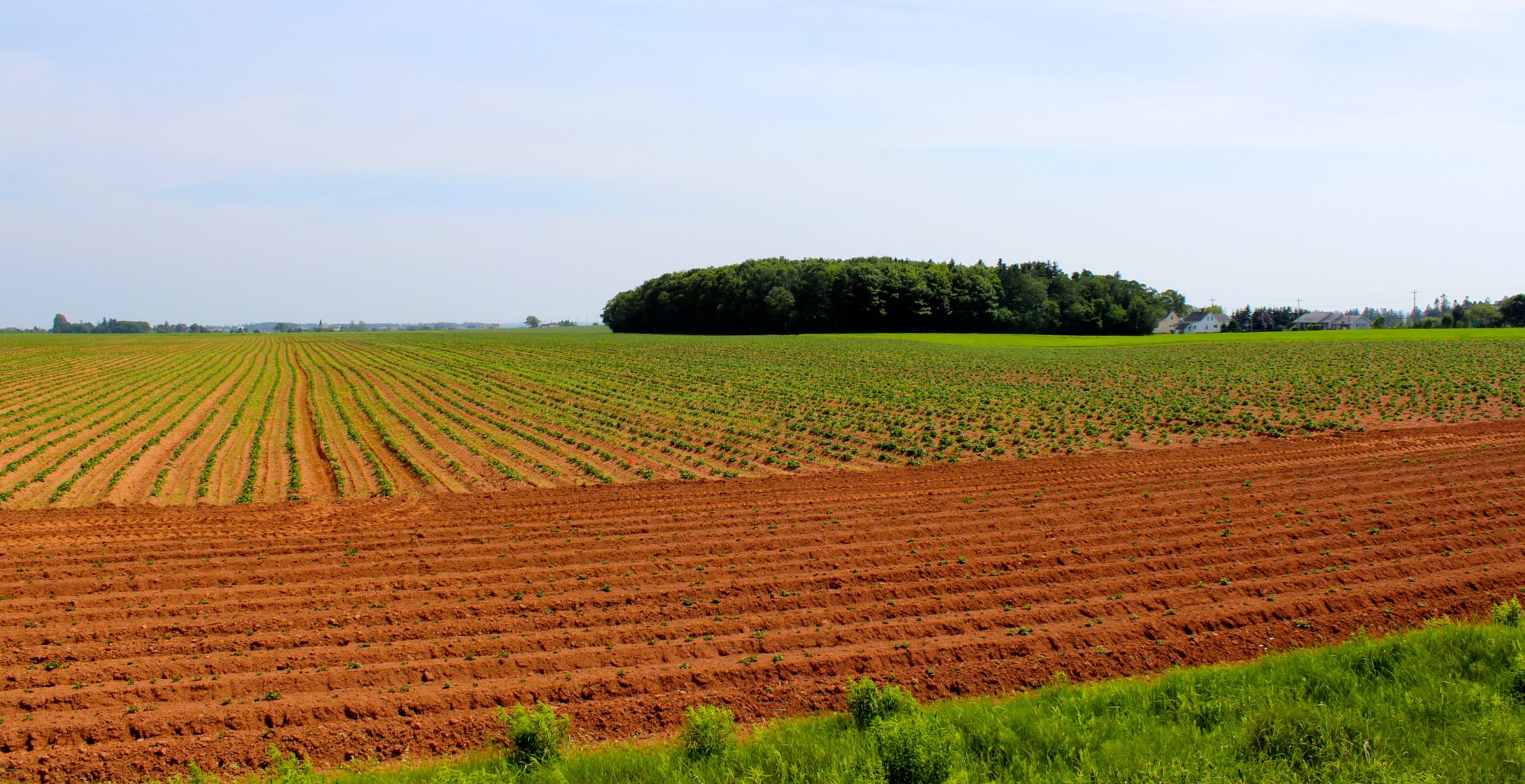 A colourful journey through The Gentle Island Between Brush Strokes