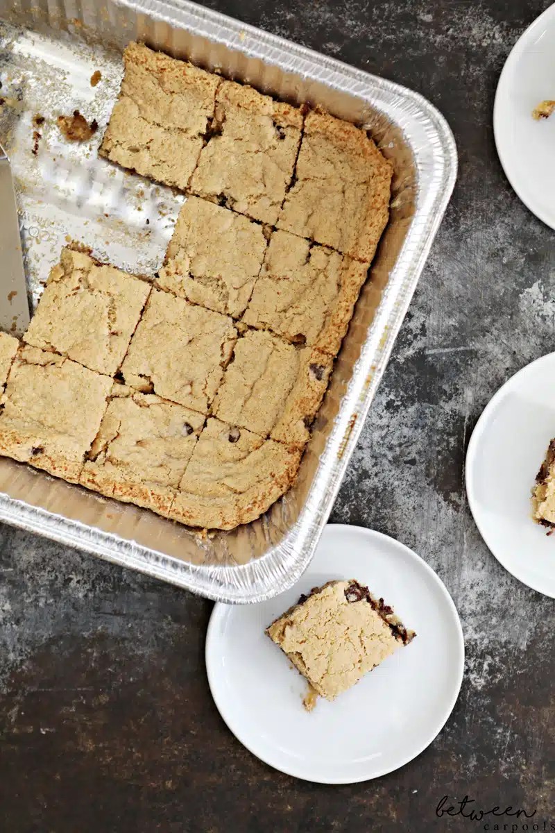 No Mixer Pesach Chocolate Chip Squares Between Carpools