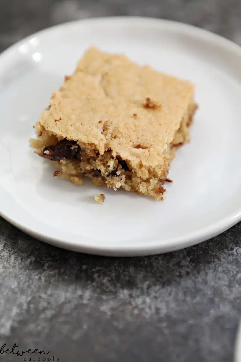 No Mixer Pesach Chocolate Chip Squares Between Carpools