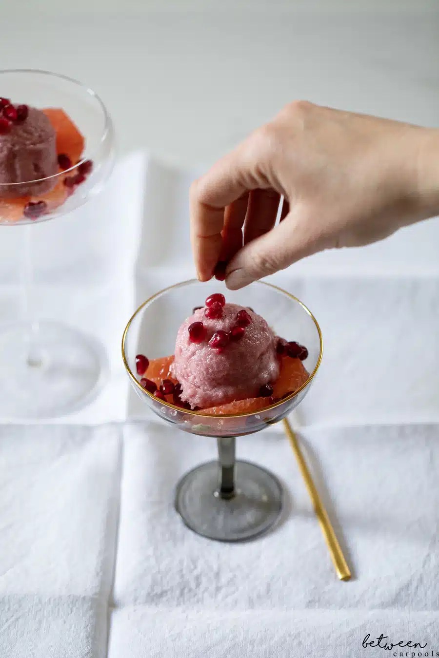 How to Serve Sorbet as an Elegant Dessert Between Carpools