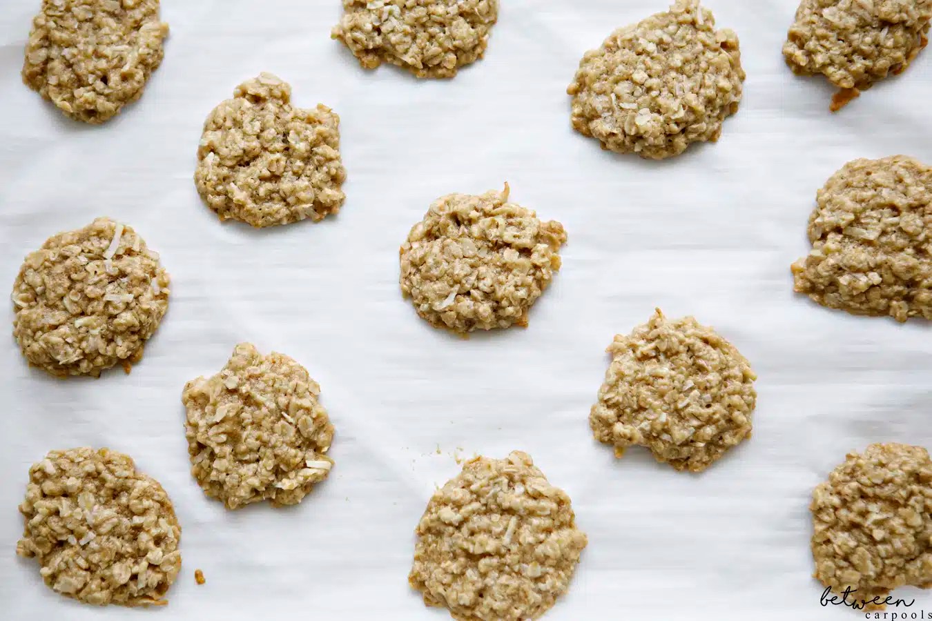 KidApproved Healthyish Oatmeal Cookies (EggFree) Between Carpools