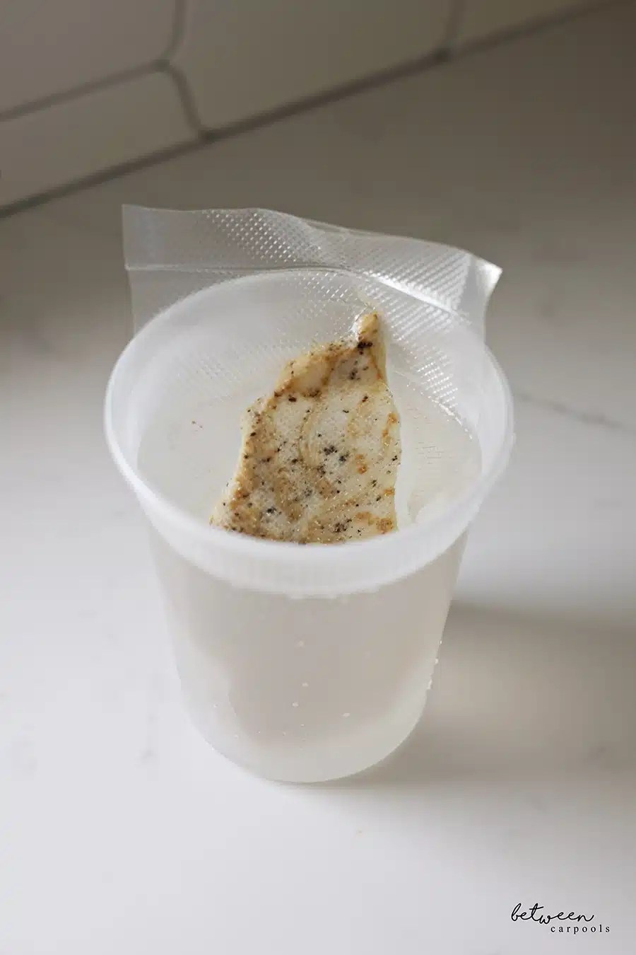 Vacuum Seal Some Chicken Or Jerky for Meals on the Go or at Yeshiva