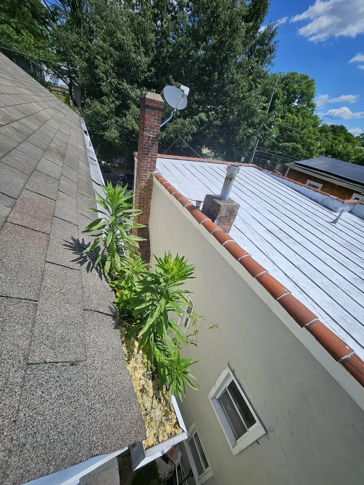 Gutter Cleaning Safety Tips