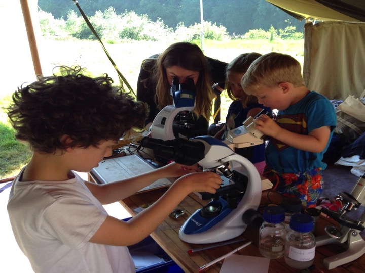 Forest Feastival returns in September with new pop-up