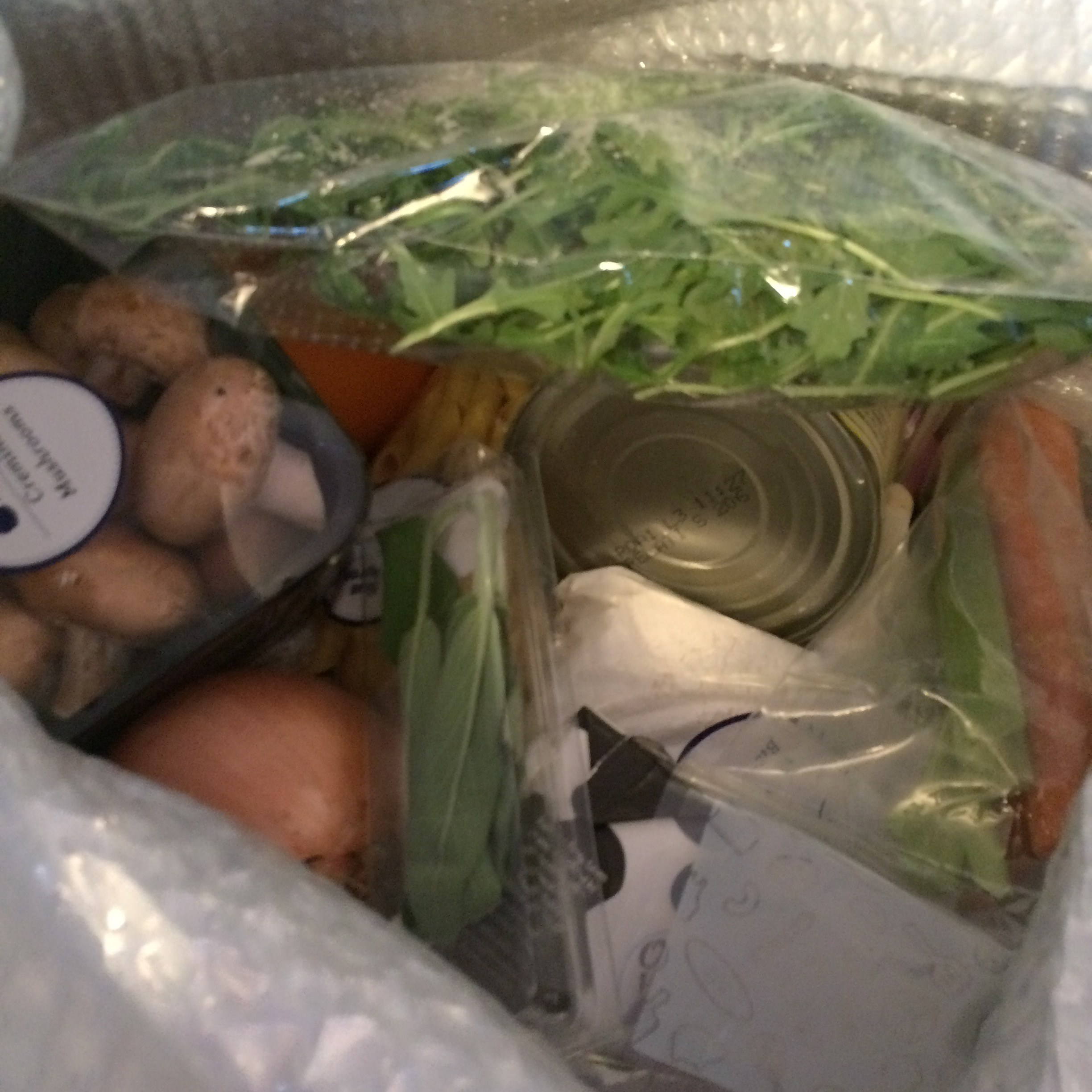 Blue Apron Lots of packaging Between Us Parents