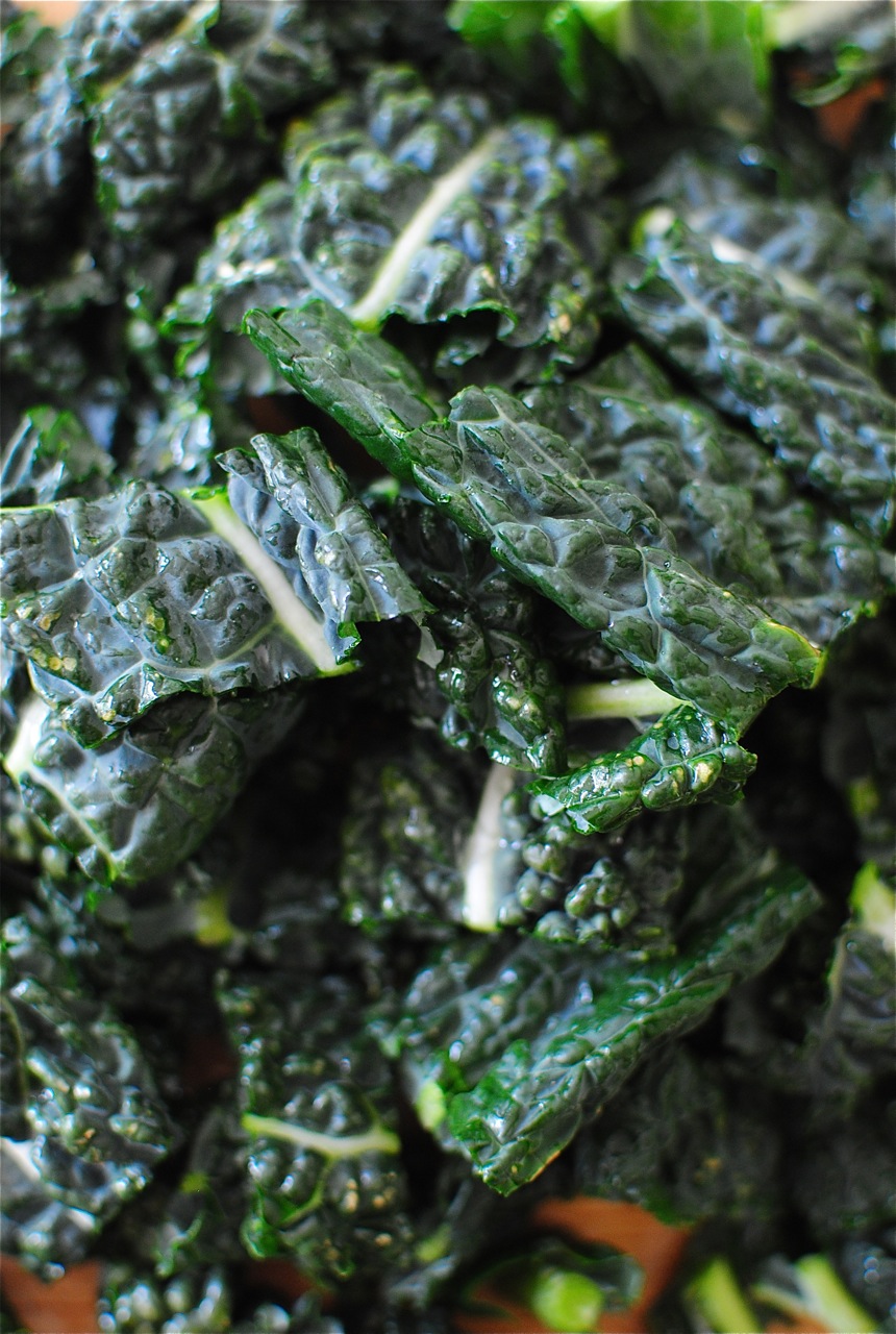 Creamy Bow Tie Pasta with Kale and Sausage Bev Cooks