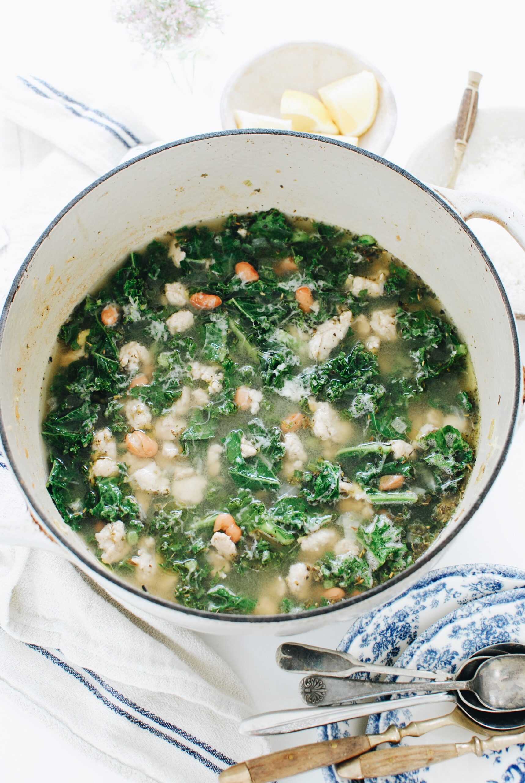 Chicken, Kale and Pinto Bean Soup Bev Cooks