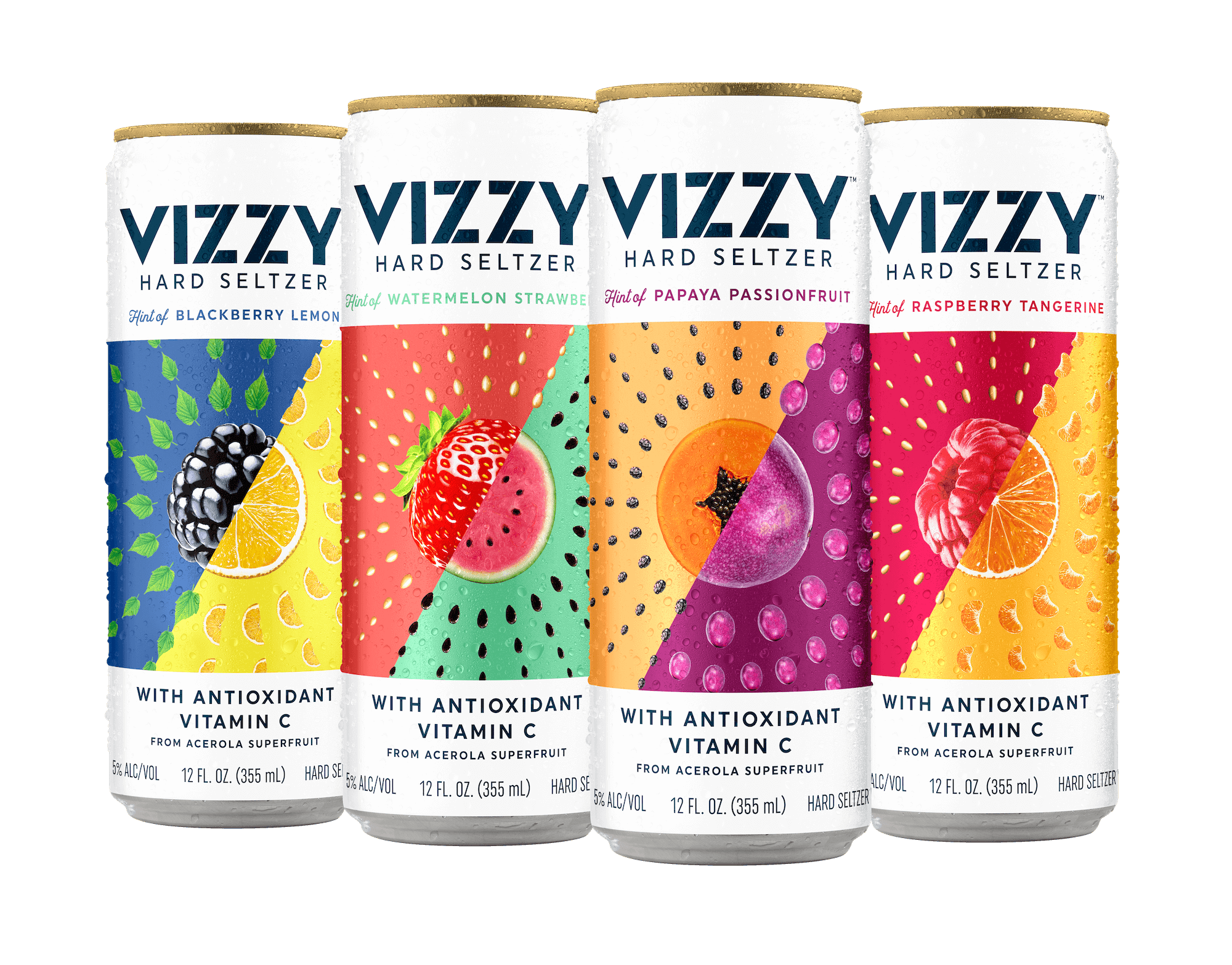 Vizzy Hard Seltzer Variety 2 12 pack/12 oz cans Beverages2u