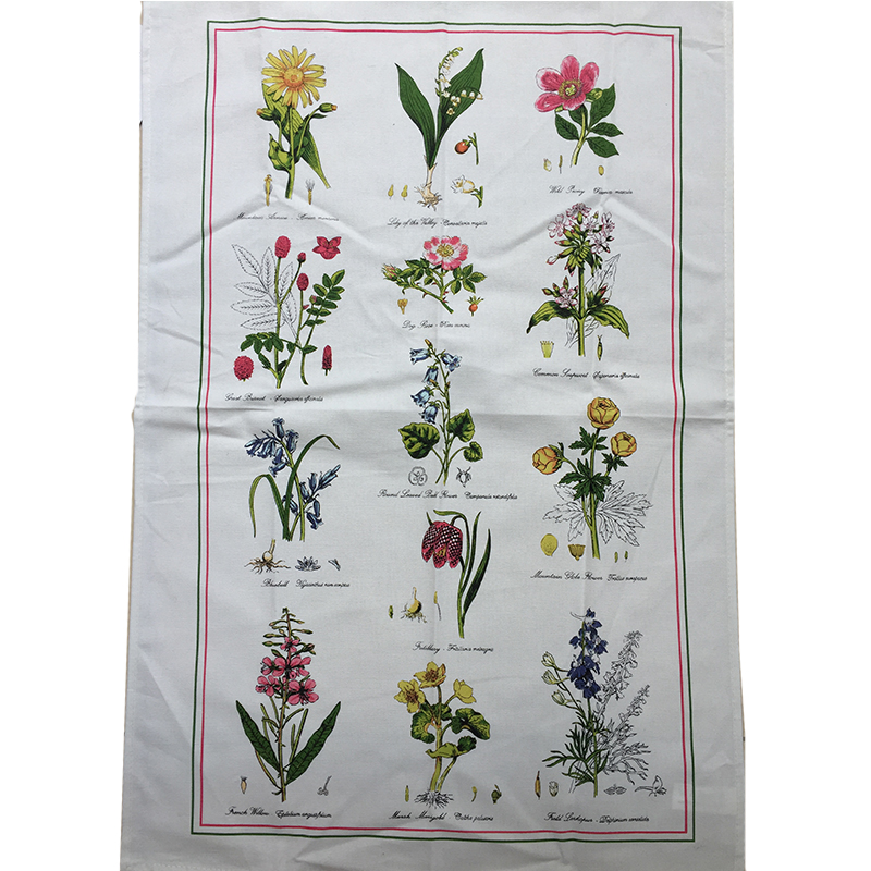 Botanic Garden tea towel Beverley Minster