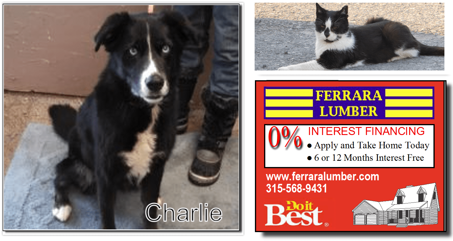 Slide 37 Beverly Animal Shelter