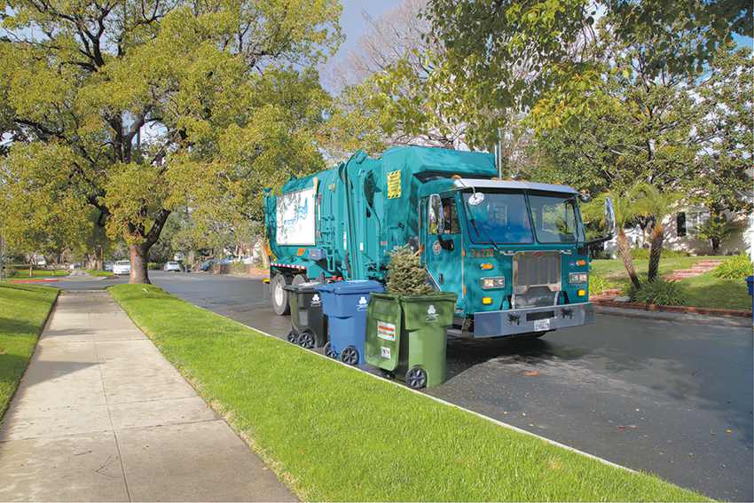 O’Farrell encourages Christmas tree recycling Beverly Press & Park