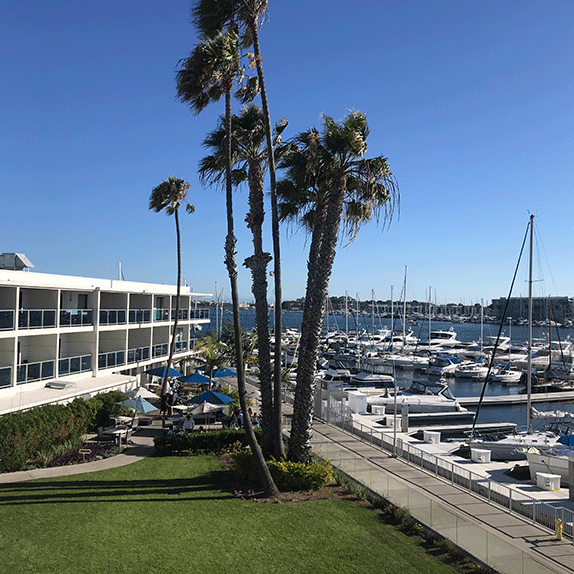 Rediscover Marina del Rey’s Salt Restaurant and Bar Beverly Press