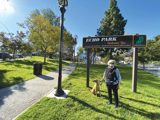 Fence comes down around Echo Park Lake Beverly Press & Park Labrea