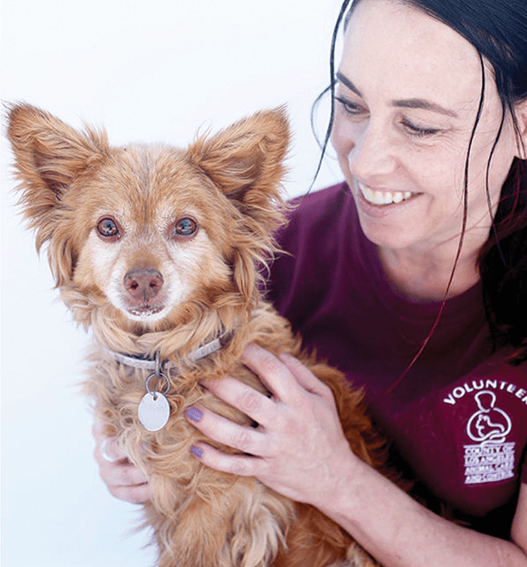 Lower adoption fees aim to ‘Clear the Shelters’ in August Beverly