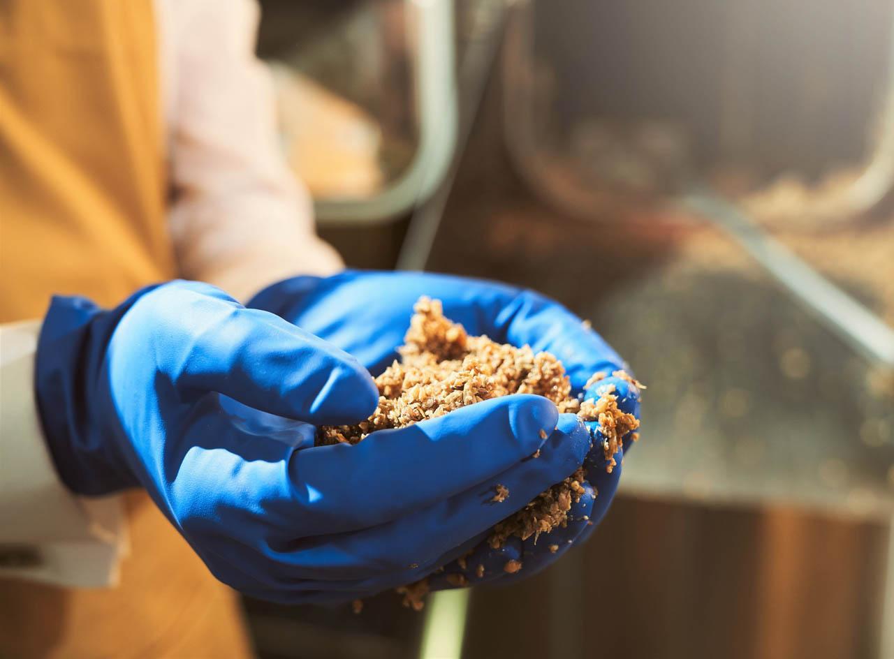 Beer Science Step into our lab