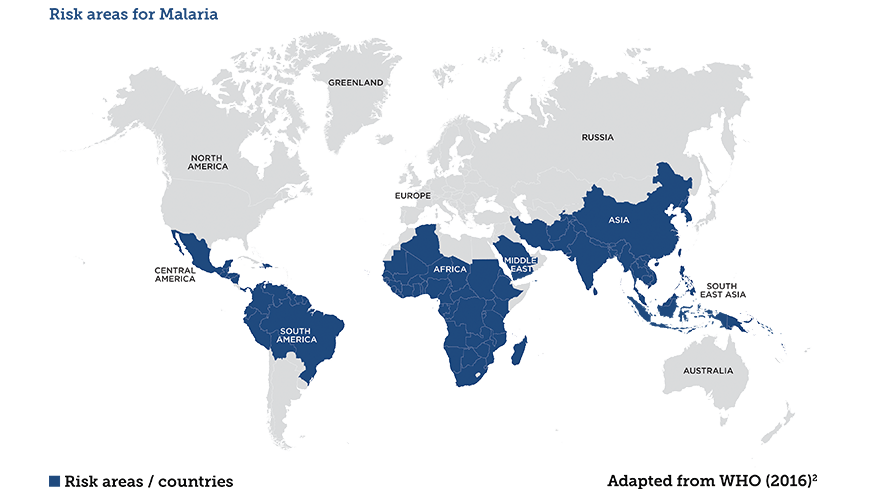 Malaria Symptoms & Treatment | Countries That Are Affected