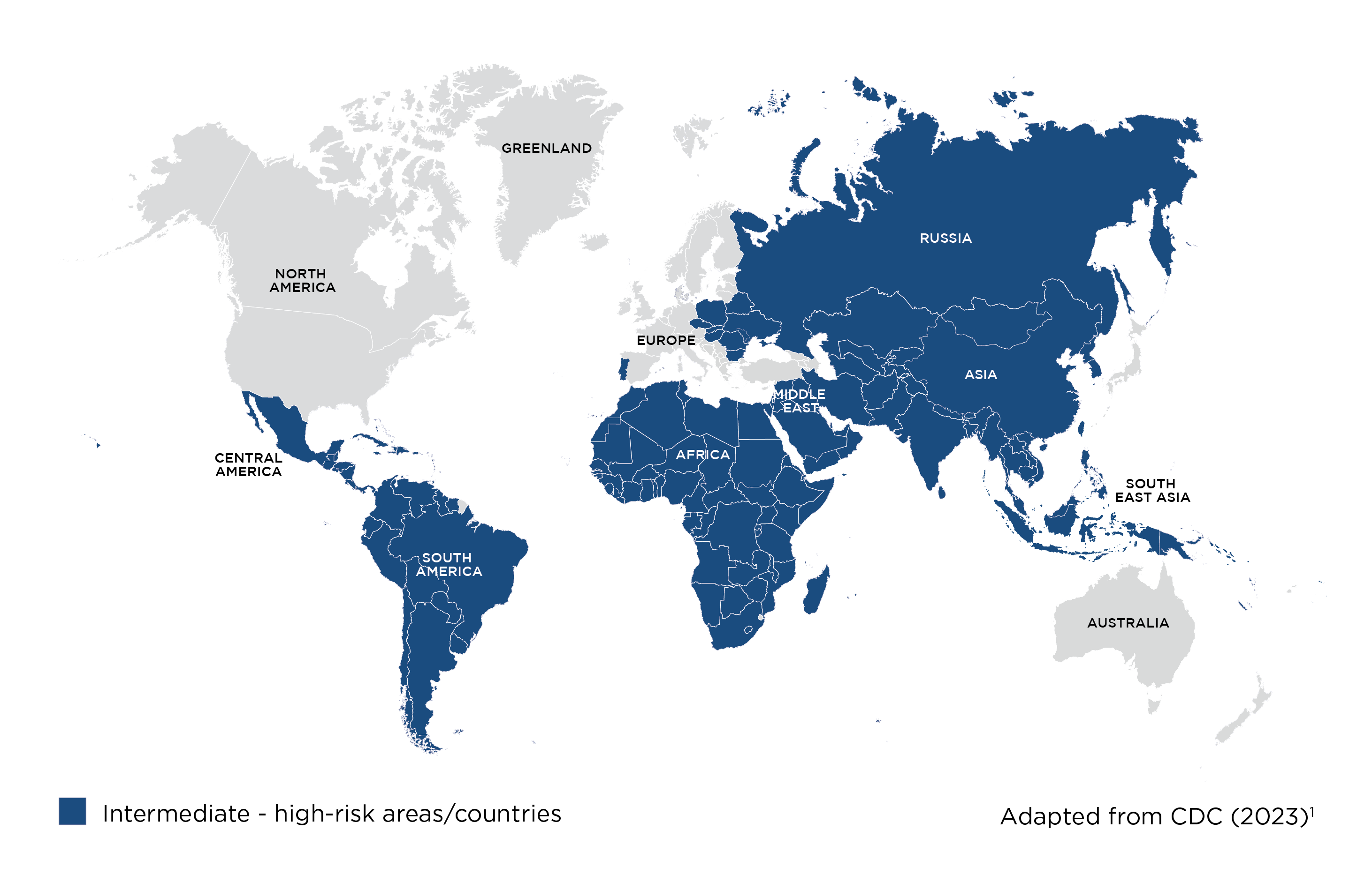 Travellers' Diarrhoea Beware of the Bugs