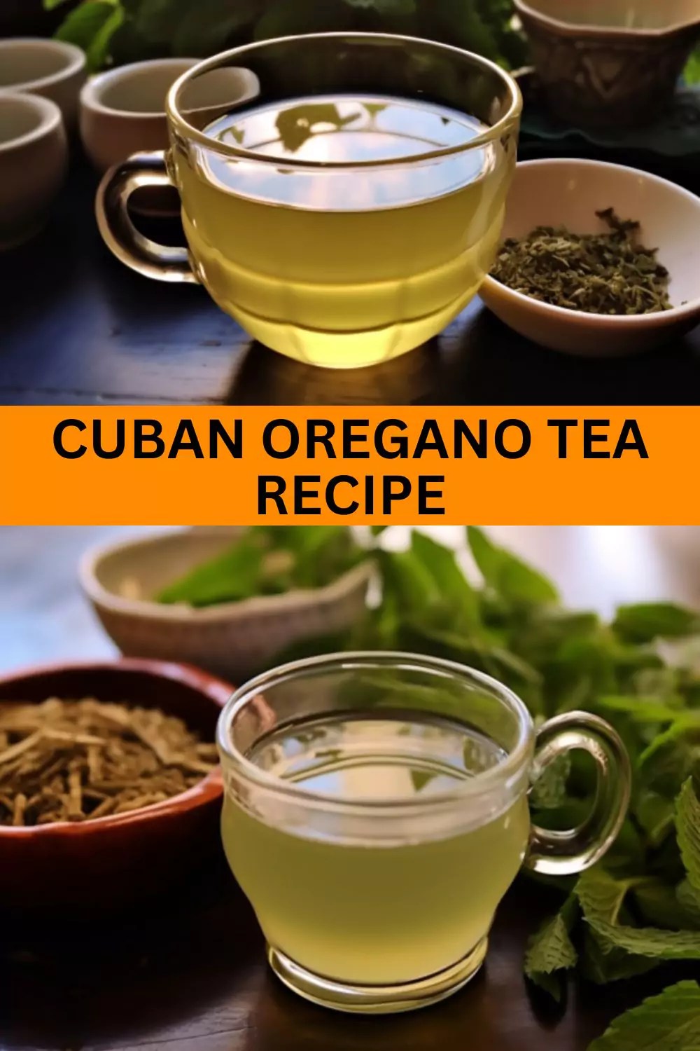 Cuban Oregano Tea Recipe Bex's Kitchen