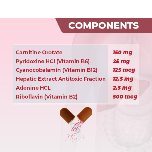 Godex Beyay Pharmacy Corporation