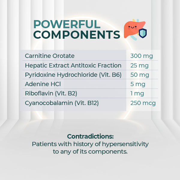 Inlex Beyay Pharmacy Corporation