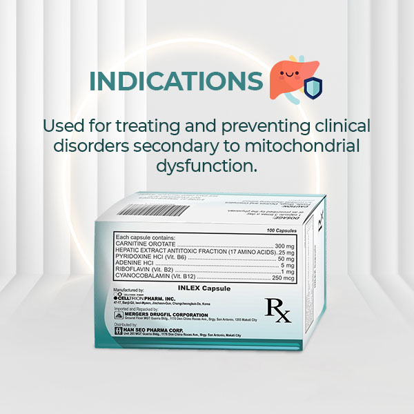 Inlex Beyay Pharmacy Corporation