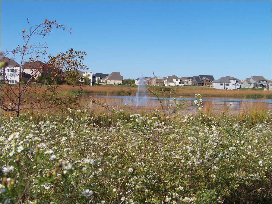 Tipton Park Bloomington, IL 400,000 CY Beyers Construction