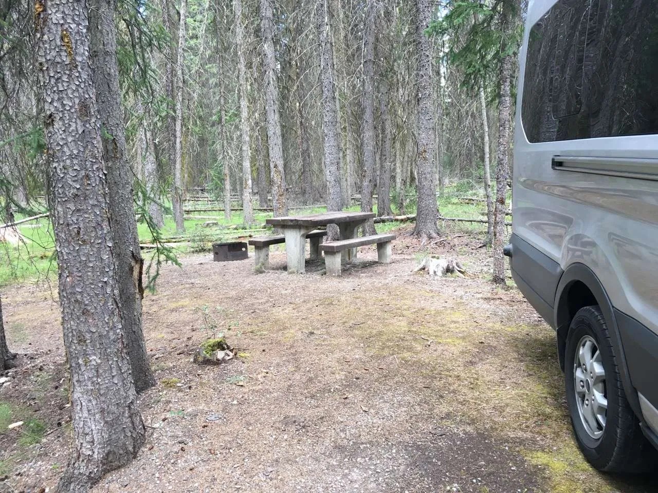 Less than scenic camping at McLoed Meadows Campground in Kootenay NP