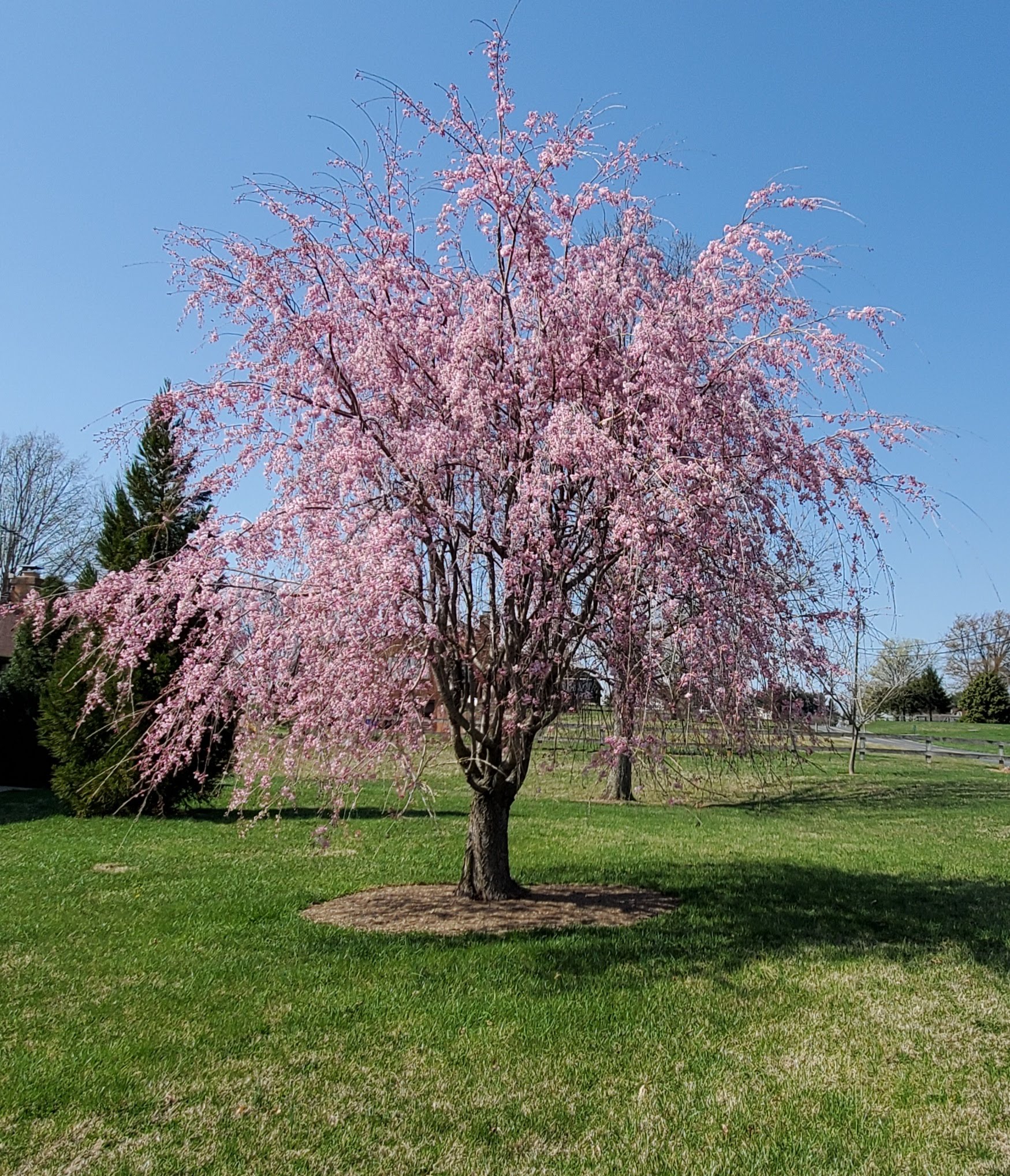 April Showers Bring Beautiful April Days Beyond Behnkes