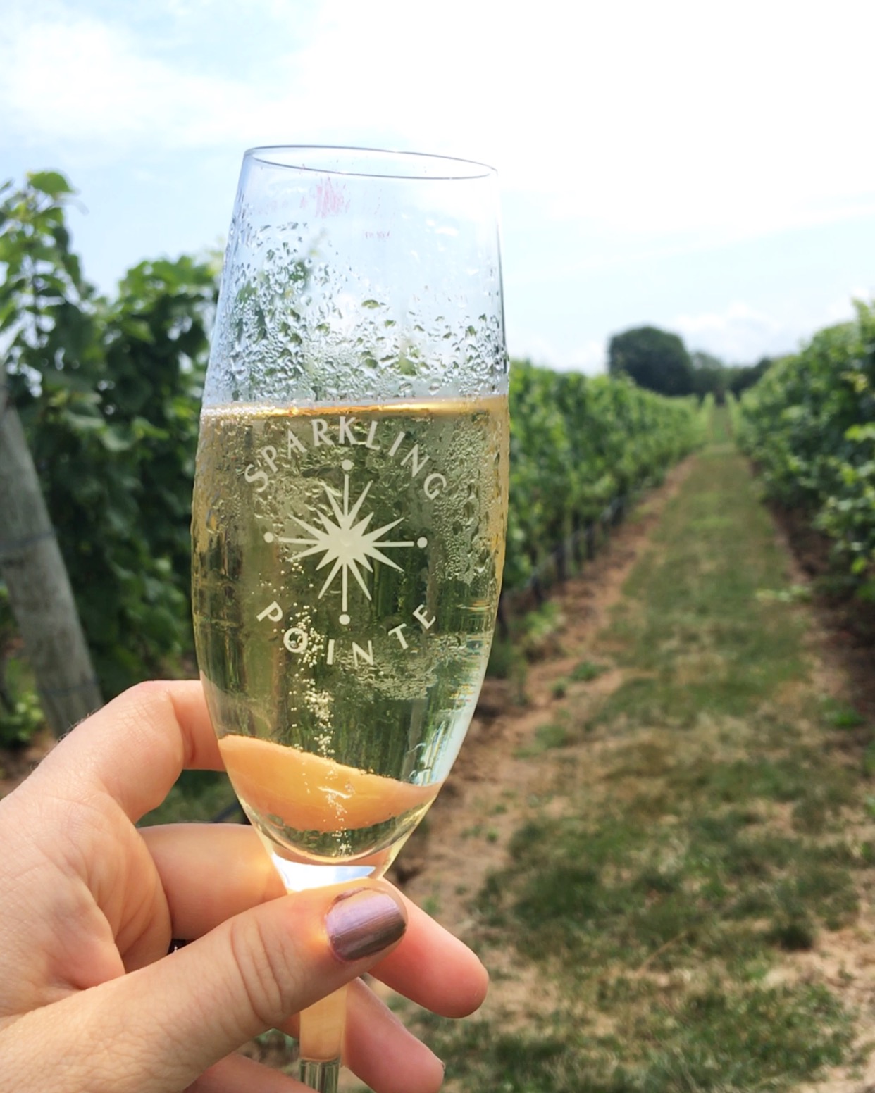 Wine Tasting in New York beyond blessed