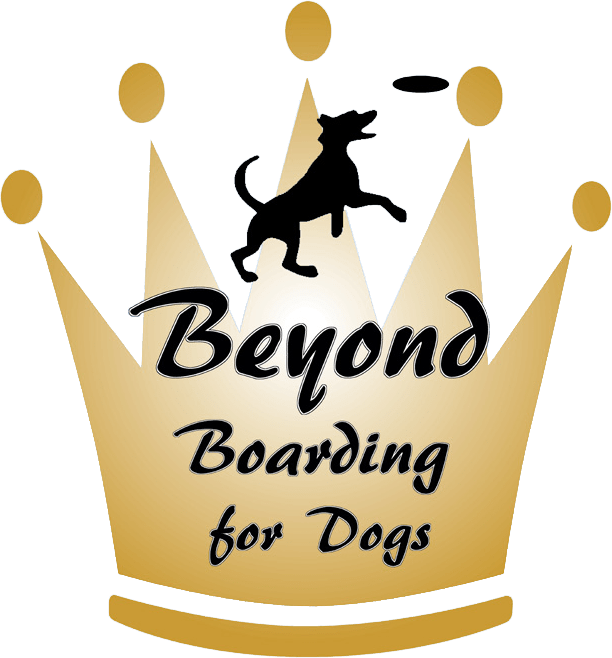 Rates Beyond Boarding for Dogs