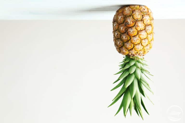 What Exactly Does An Upside Down Pineapple Mean?