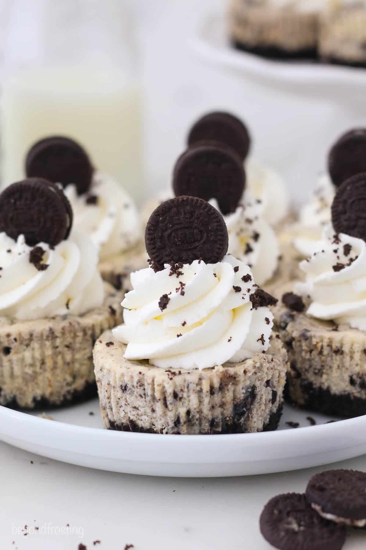 The Best Mini Oreo Cheesecakes Beyond Frosting