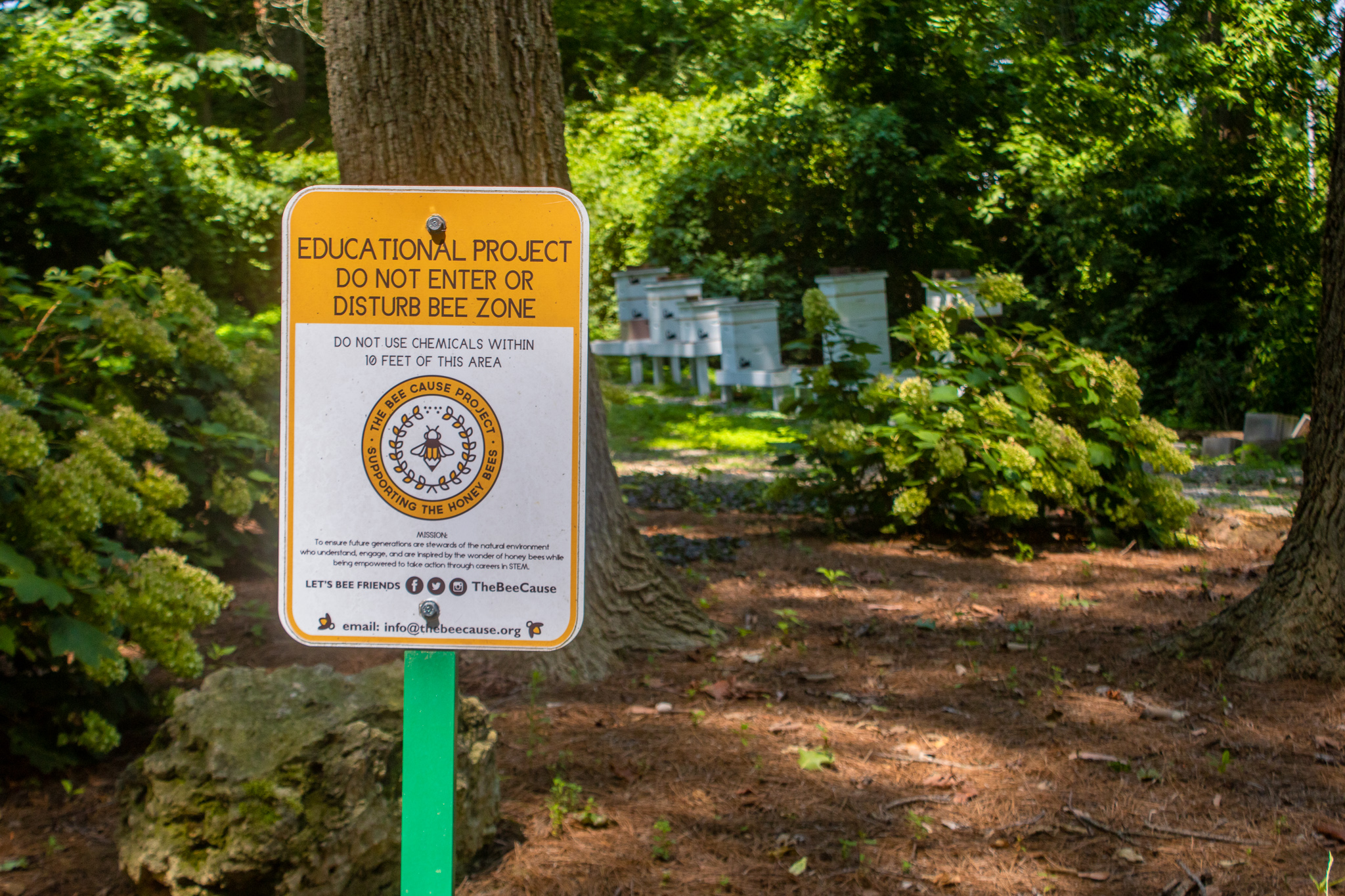 This Eternal Resting Place Has a Unique Side Hustle