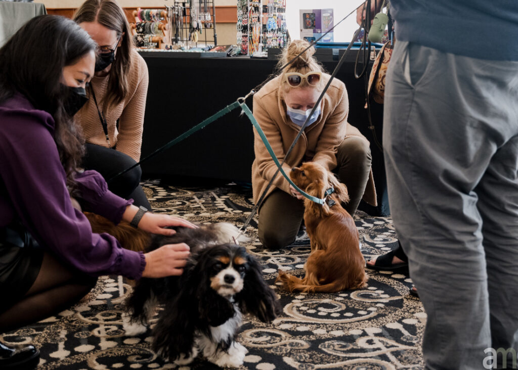 Two women petting therapy dogs