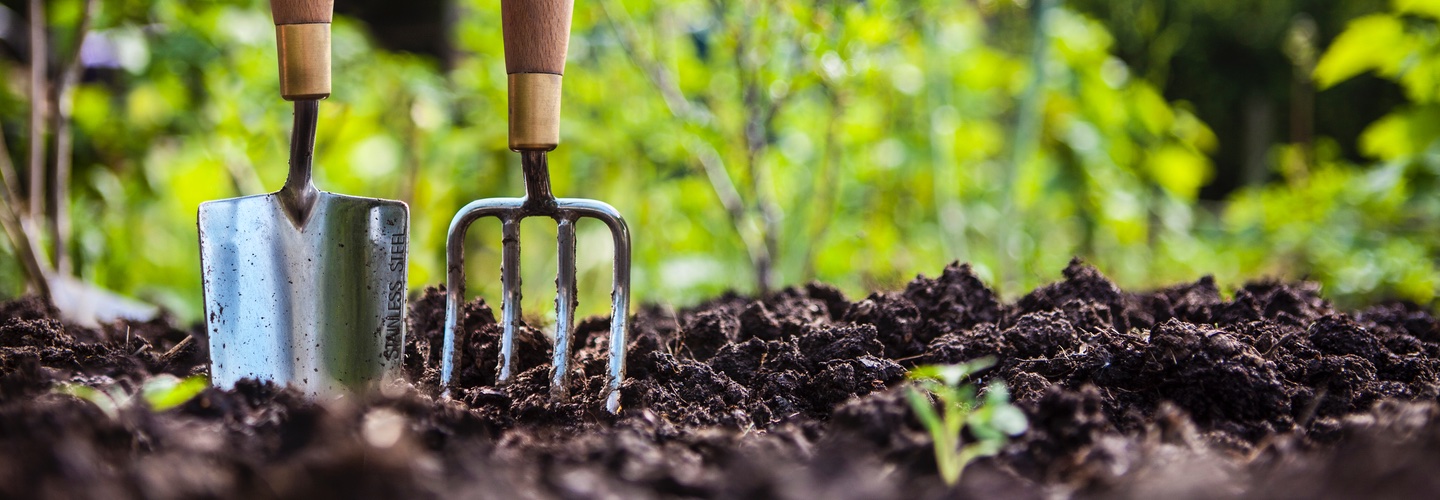 Getting Annuals for Spring Blogs Beyond Peat