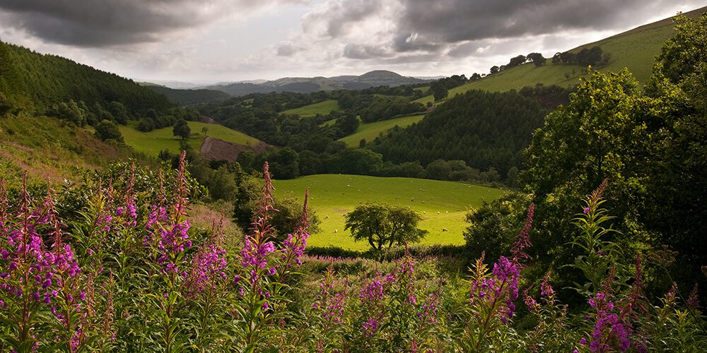 The Green Pages Top 10 Things to Do in Carmarthen Beyond Storage