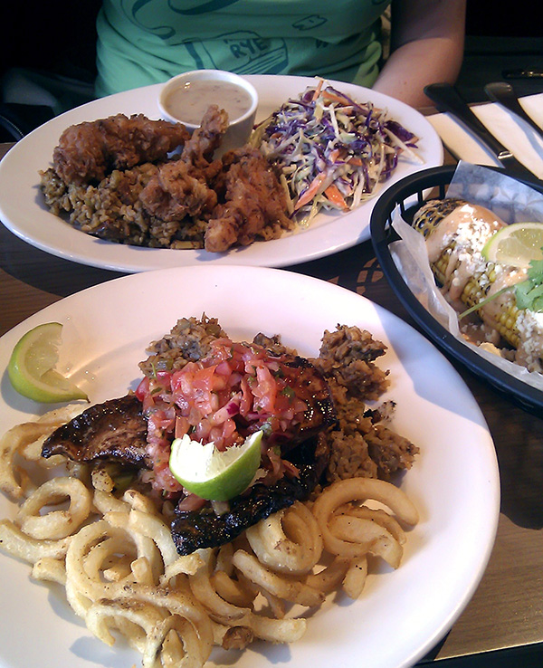 New Zealand Food Exploration North Island Beyond