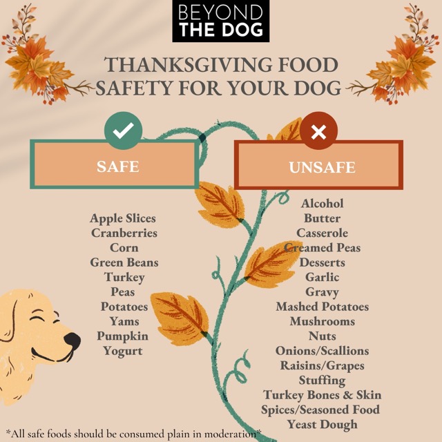 Thanksgiving Food Safety for Your Dog Beyond the Dog