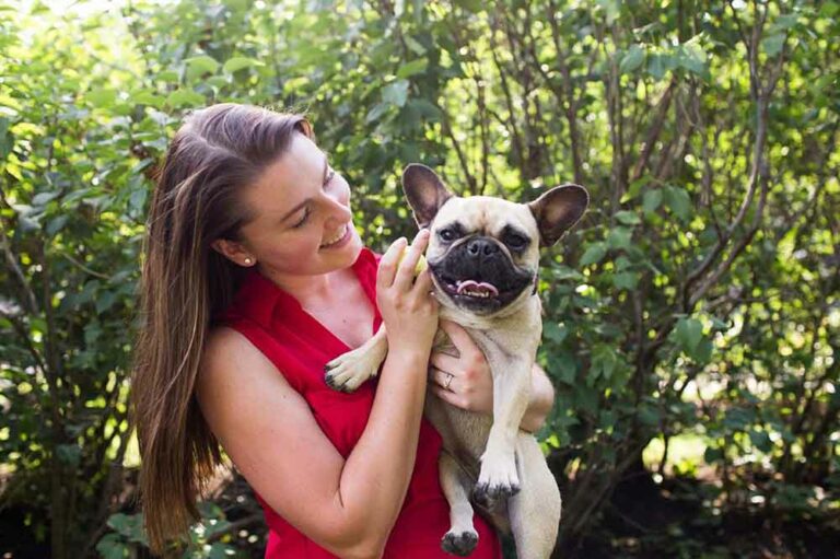 Dog Training Puppy Training Beyond the Dog