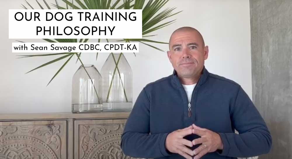 InHome Dog Training Kansas City