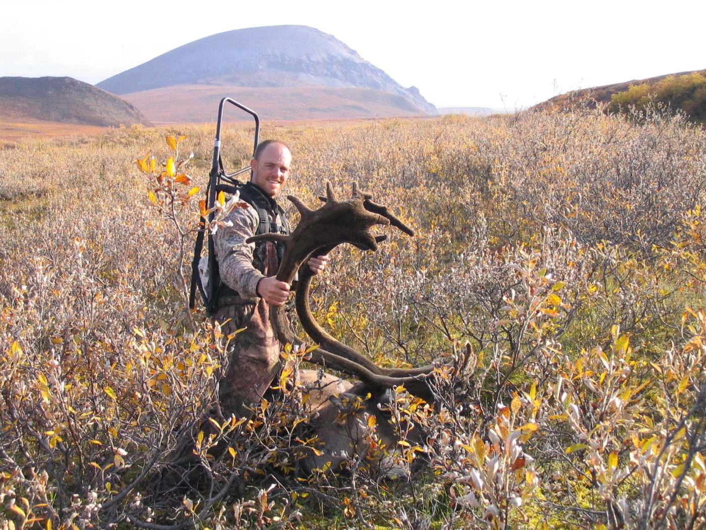 North Slope AK Caribou DIY Tips Destinations
