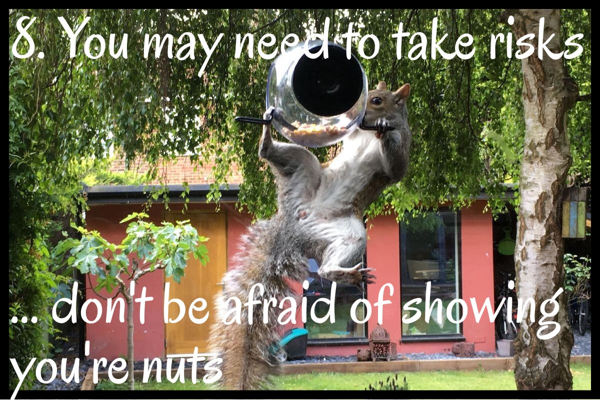 The squirrel’s guide to making your strategic goals happen