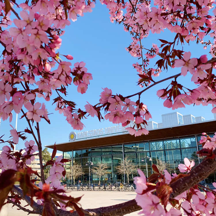 Study at Karlstad University English Taught Degree Programs