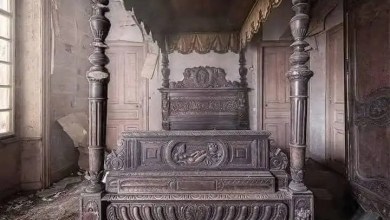 Mysterious Secrets Inside an Abandoned Mansion Mysterious Secrets Inside an Abandoned Mansion