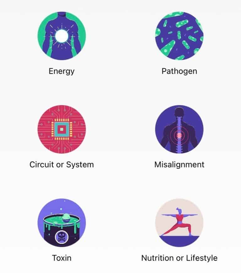 Body Code Practitioner