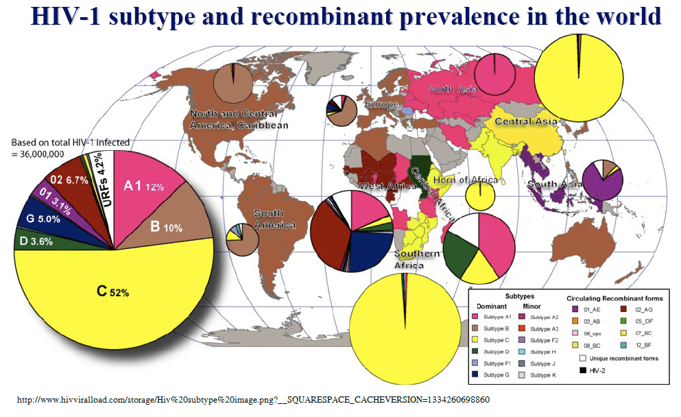 New strain of HIV in Africa Butterfly Sciences