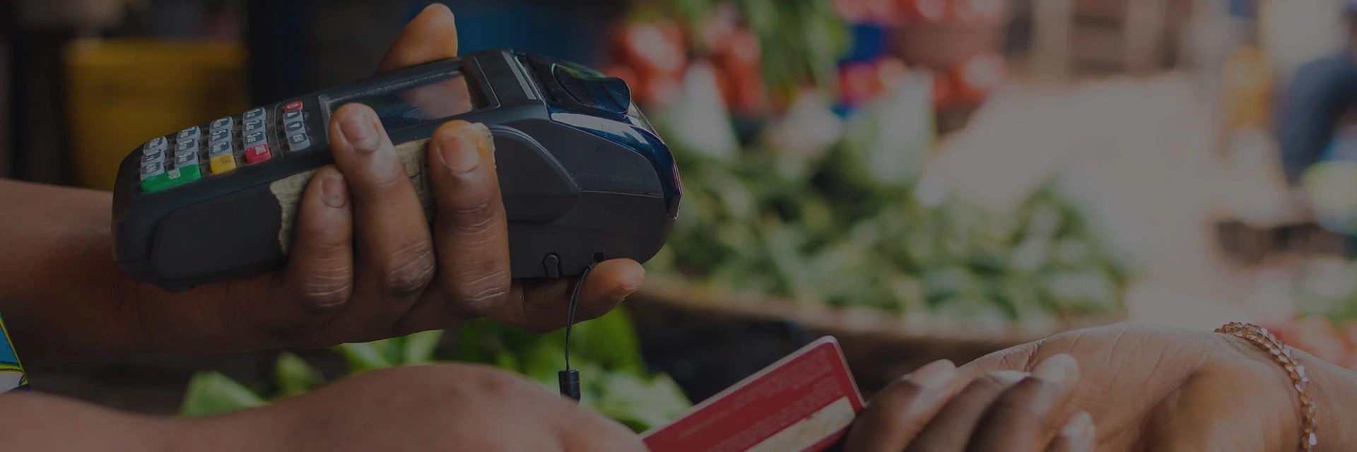 How Catalyst Fund Acceleration Works BFA Global