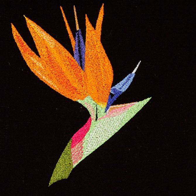 BFC1173 South African Flowers