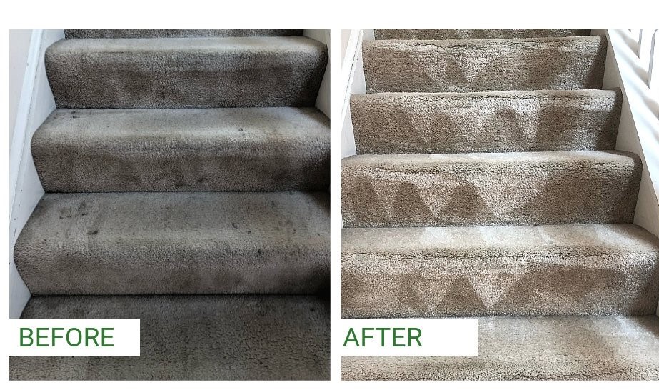 Residential Services BFC Carpet Cleaning