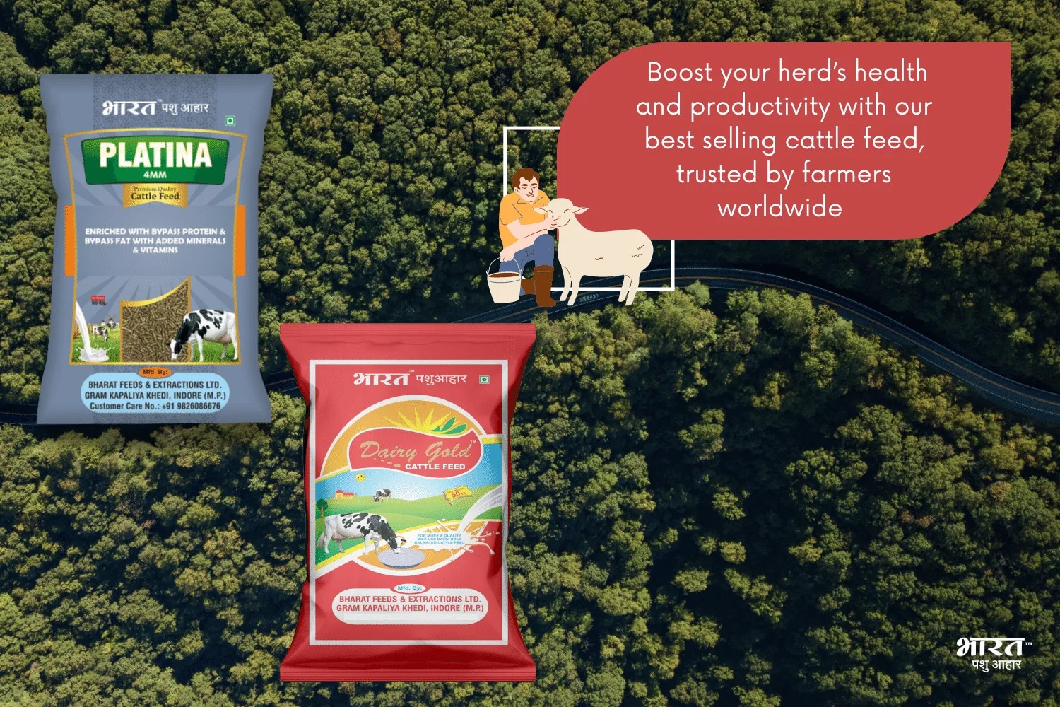 Compound Cattle Feed for Healthy Livestock Supplier in Indore,MP